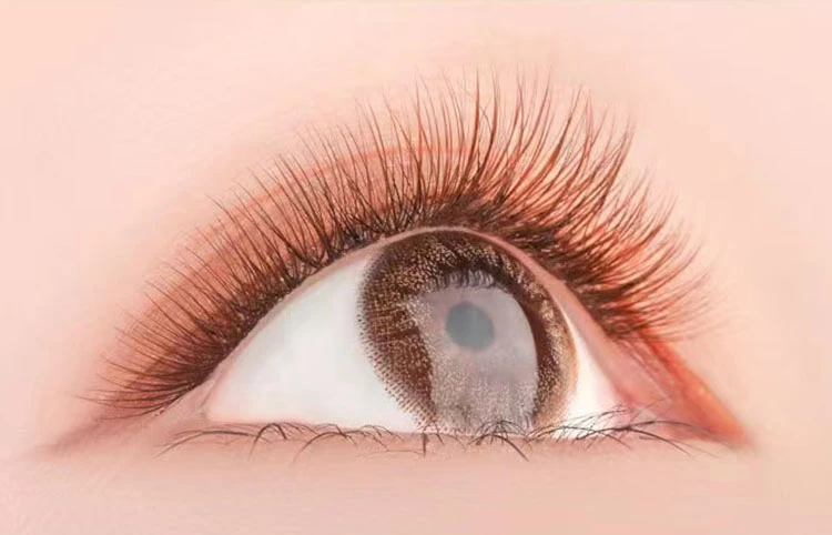 brown color individual lash